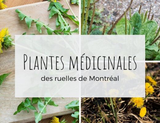 Herboristerie Montréal