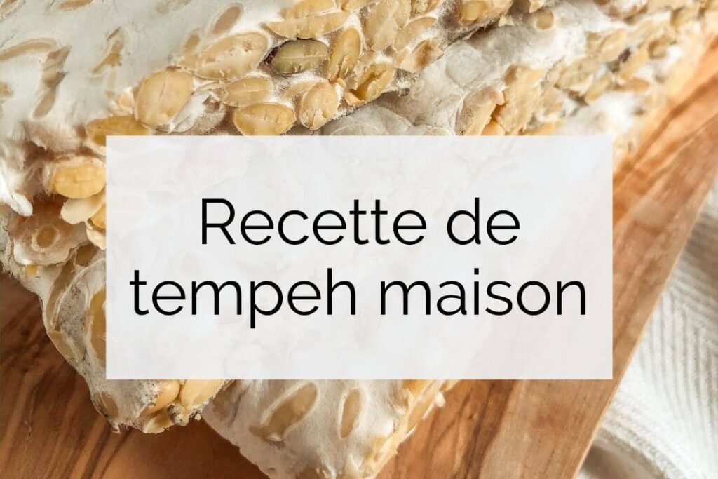 Comment faire son tempeh maison