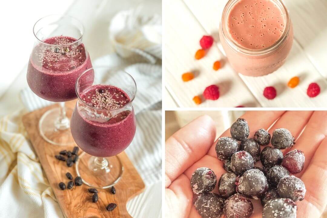 Recette de smoothie aux fruits sauvages du Québec et saveurs de la forêt